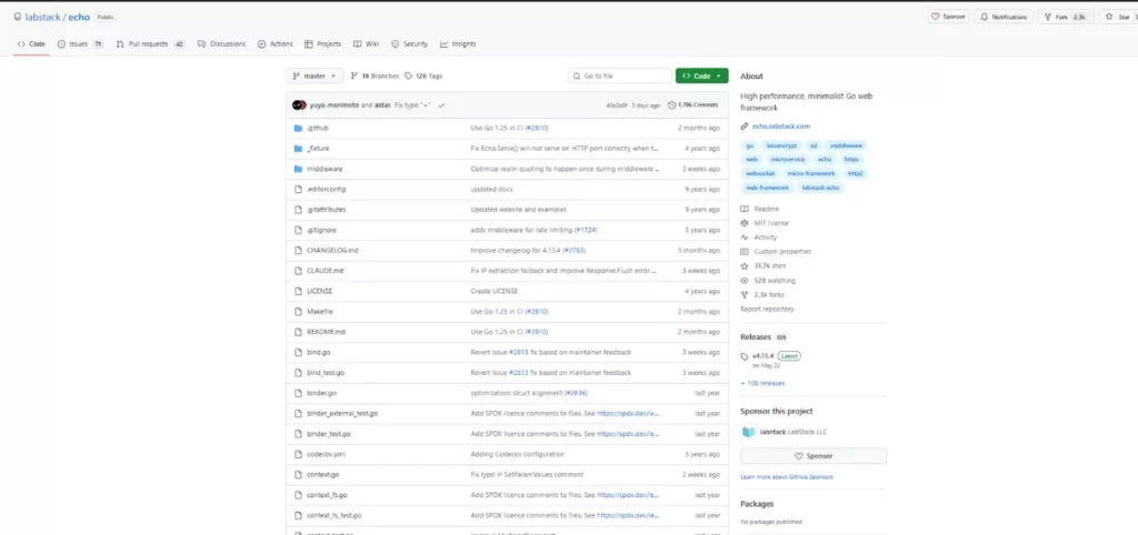 Echo GitHub