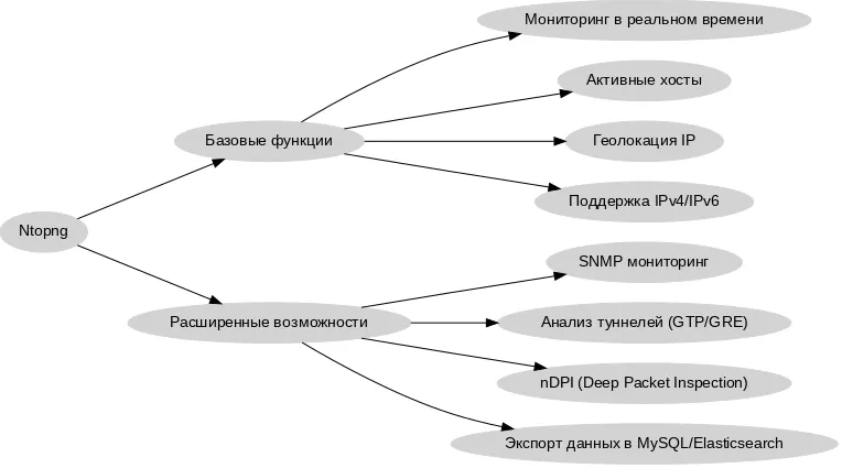 Функции Ntopng