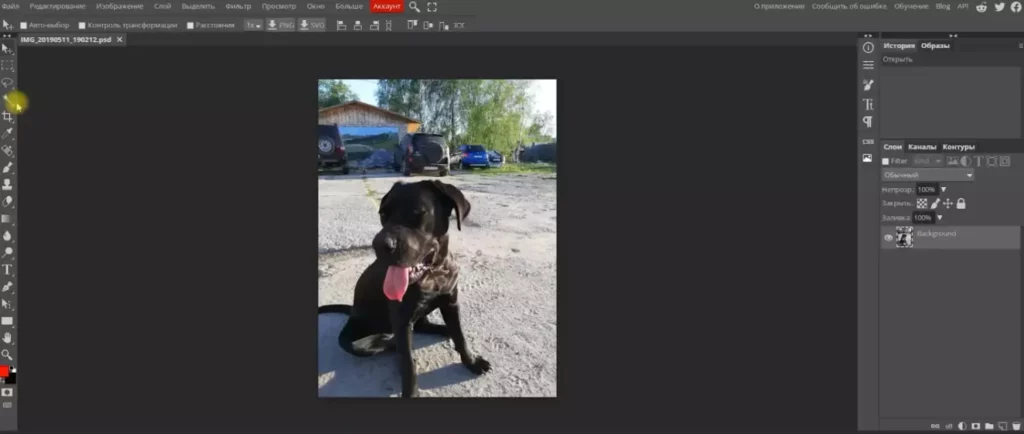 фотопея пример