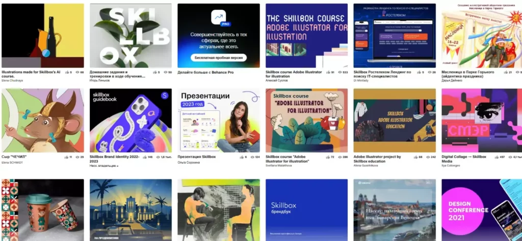 портфолио скиллбокс