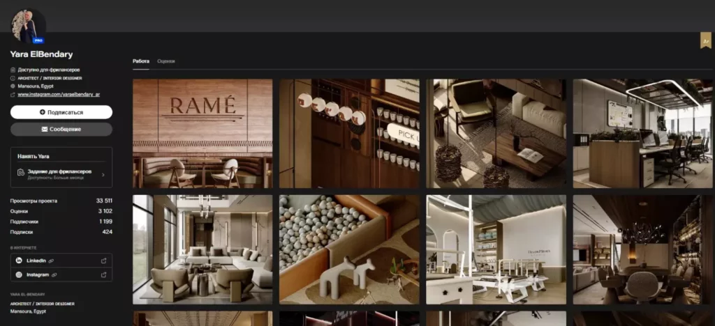 Пример портфолио на Behance.